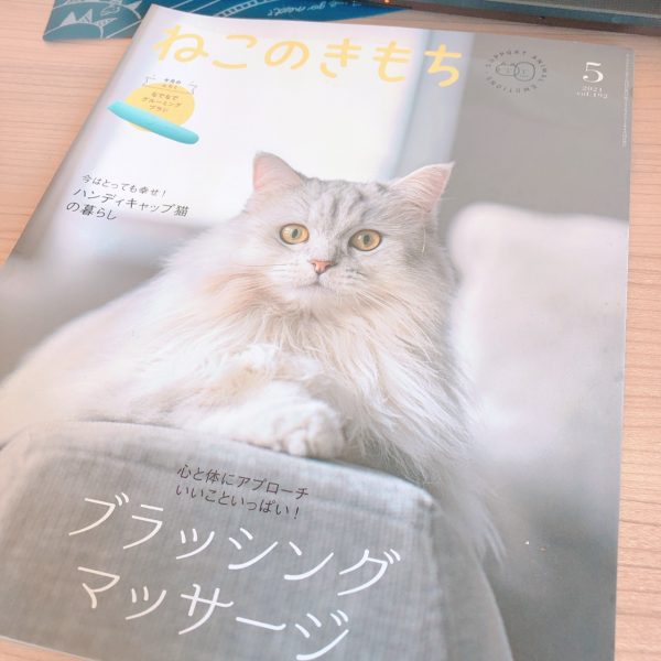 ねこのきもち】毎月届くベネッセの猫情報雑誌 - 福袋ギルド